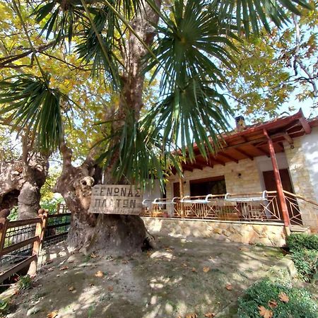 Guesthouse Platon Orma Luaran gambar