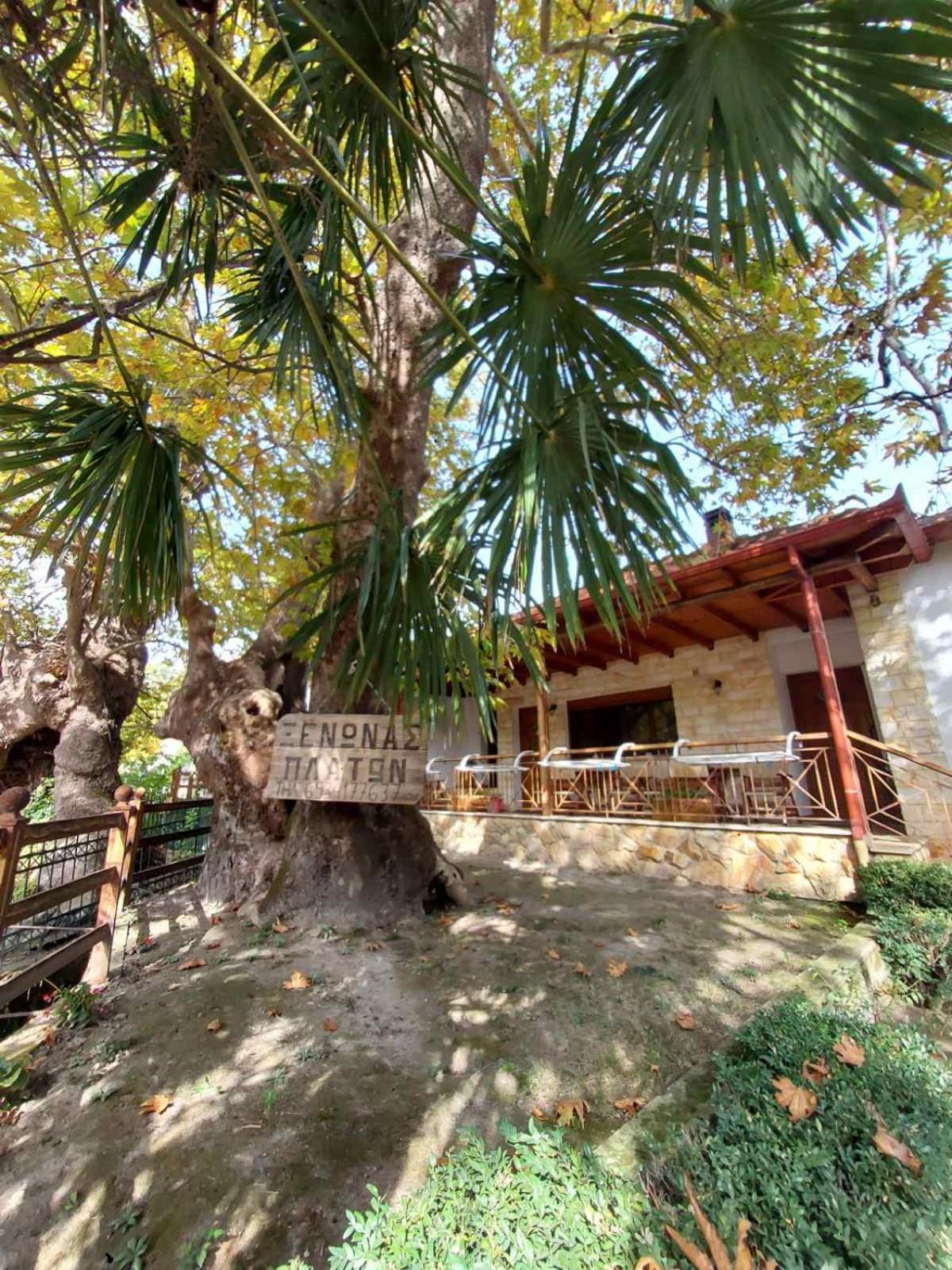 Guesthouse Platon Orma Luaran gambar