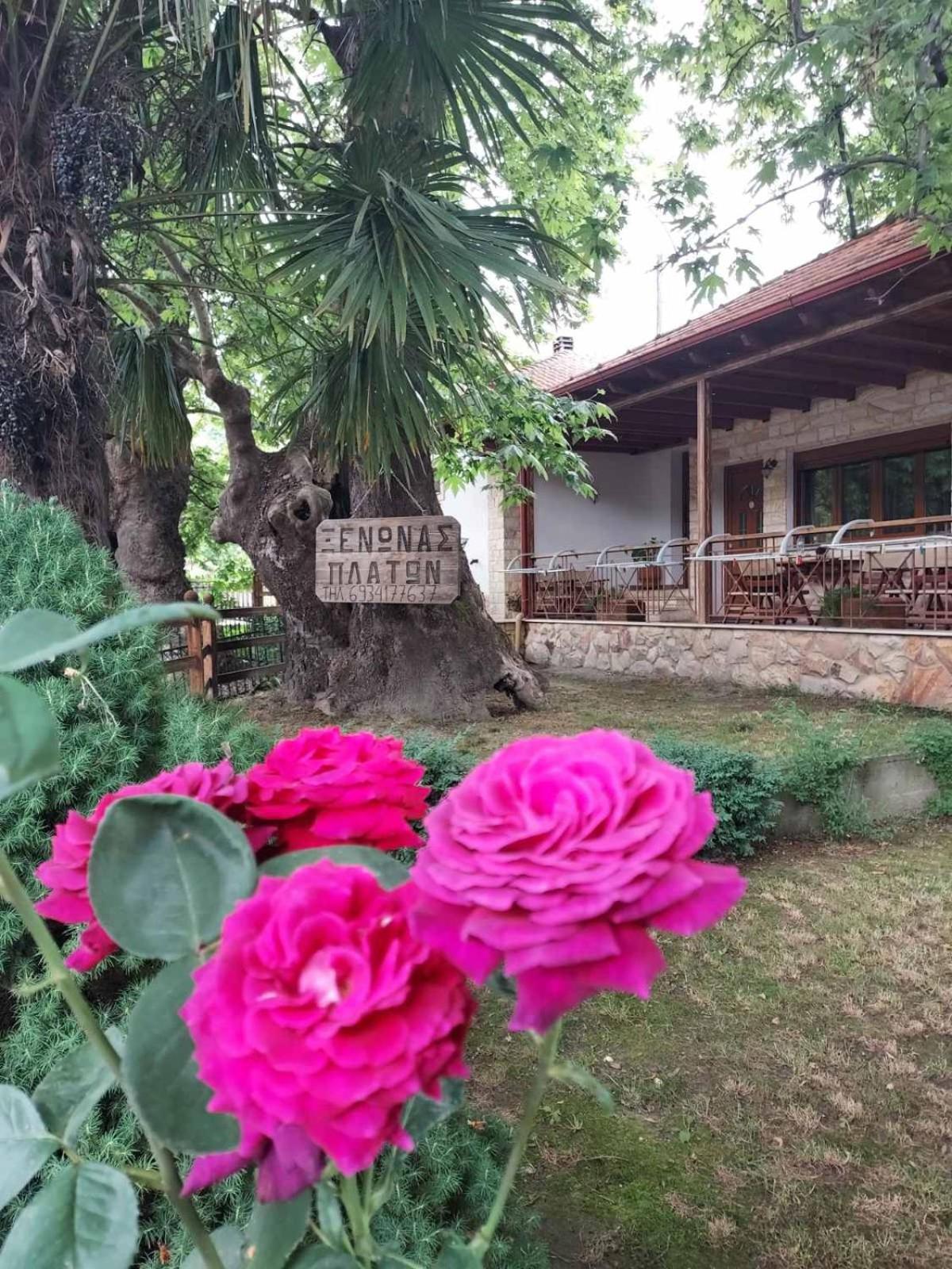 Guesthouse Platon Orma Luaran gambar