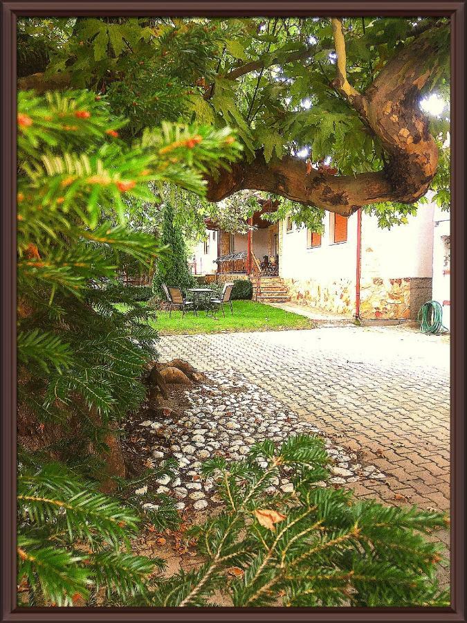 Guesthouse Platon Orma Luaran gambar